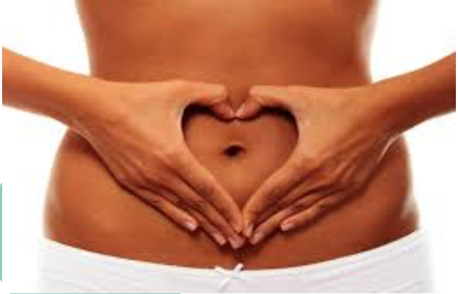 Read more about the article Digestive Health