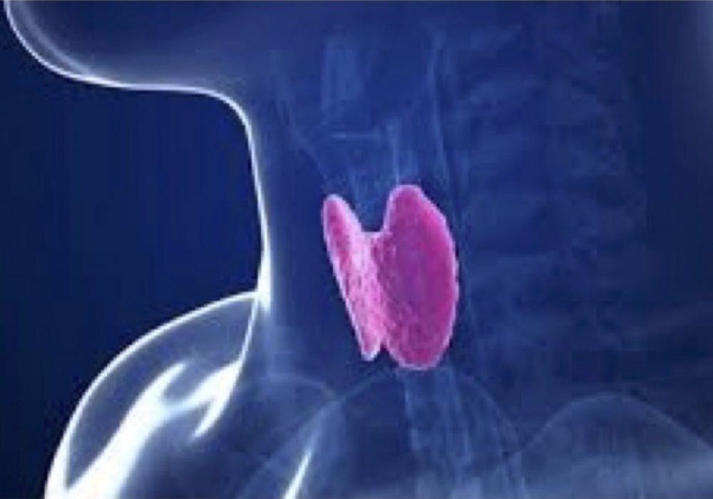 Thyroid Image PlainJPEG
